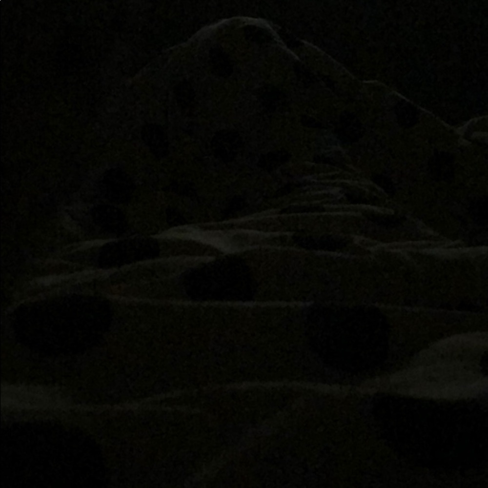 Meet your Posher, Charlotte